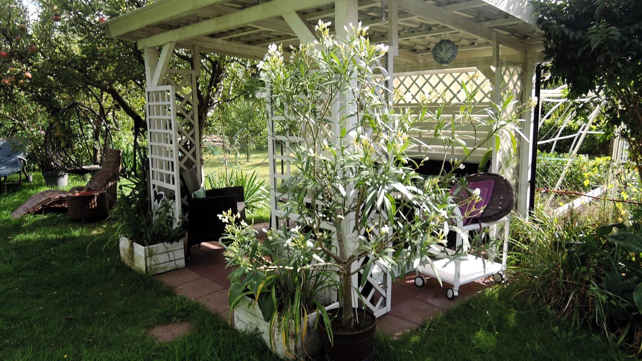 GardenSummer GardenSummer